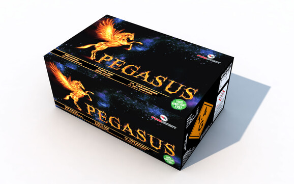 Pegasus-A-Nr-CB70-053-22