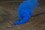 SX-3 Army - Blau-A-Nr-SX-3-B