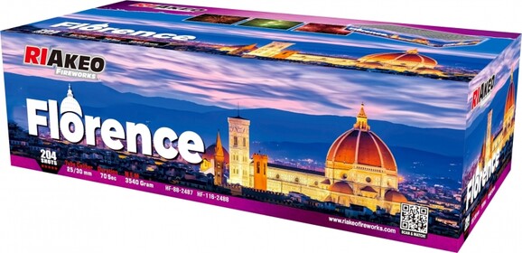 Florence-A-Nr-HF-88-2487