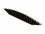Green Strobe mine to Gold-A-Nr-CB20-042-30
